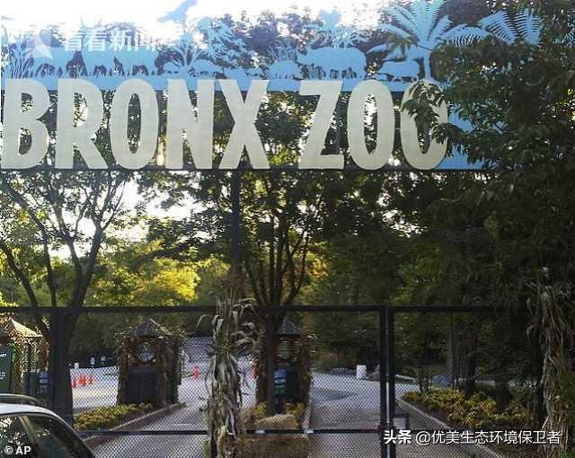 哈尔滨宠物网的自频道:短视频行业的未来将会是什么？