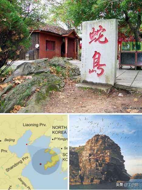 大连蛇岛是怎么来的