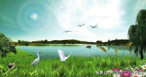 怎么改变一个人的心态:心累怎么调整心态？有什么值得推荐的经验吗？(心情不好怎么调节心态)