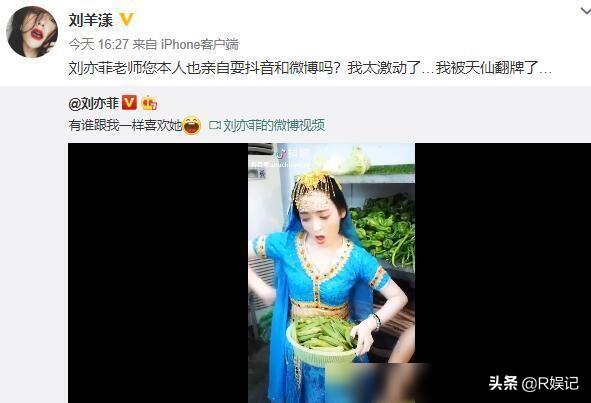 刘亦菲和她妈妈:为什么刘亦菲发土味视频的微博会被举报有没有人知道其中的原因