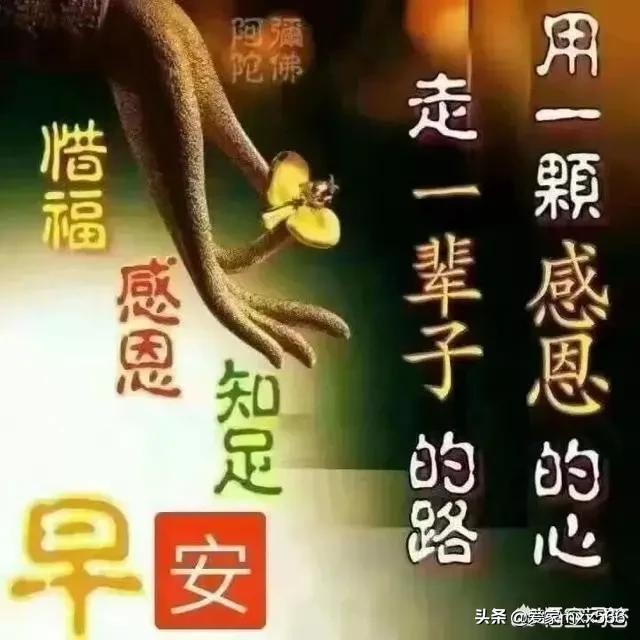 为什么现在离婚的人越来越多,为什么现在离婚的这么多？