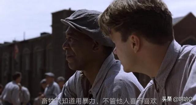 请告诉我你心目中的排在前三位的最经典的电影名称是什么？