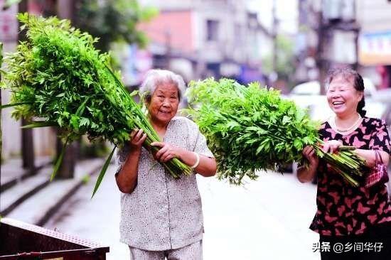 端午节怎么过(端午节怎么过写一段话)