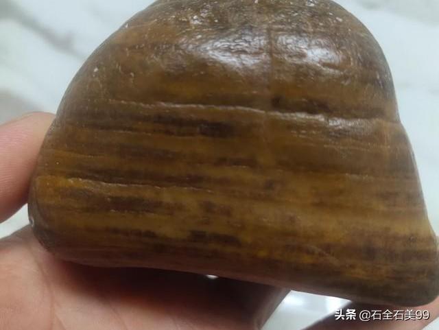 最贵的树化玉原石图片,请大师看一下:这方树化石玉化的怎么样？