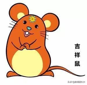 2020年是鼠年,你对“鼠”有怎样的认知？能分享一下吗？