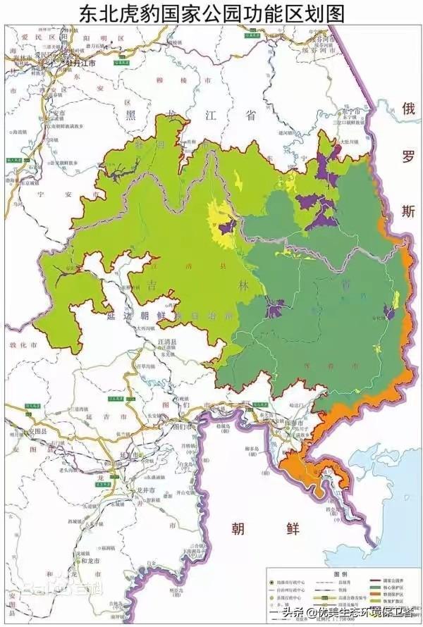 东北虎的资料:东北虎的资料简介介绍 野生老虎和圈养老虎数量是多少？为什么会这样？