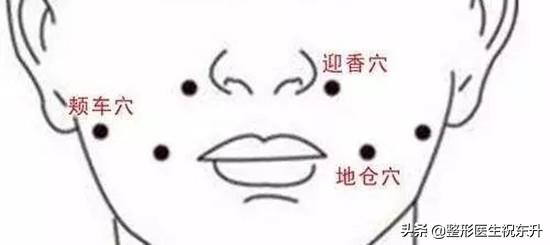 茶杯约克夏的美容方法:约克夏的毛稀少，应该怎么应对？ 茶杯约克夏造型