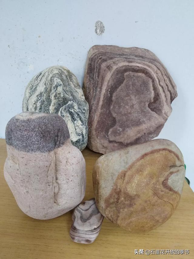 天然大化石原石图片,你收藏的天然奇石有哪些已经升值了？