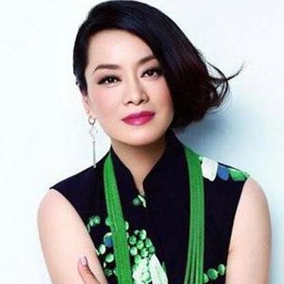 毛阿敏年龄:毛阿敏是不是在乐坛份量很重？
