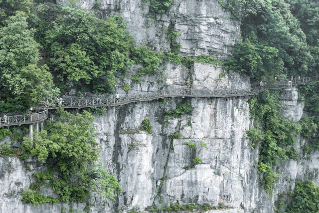 飞机上拍到真龙 出山，龙有没有可能长眠在地底呢