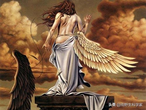 长翅膀的猫咪竟然真实存在:人类发现“天使”和“精灵”的化石，难道长翅膀的人真的存在？