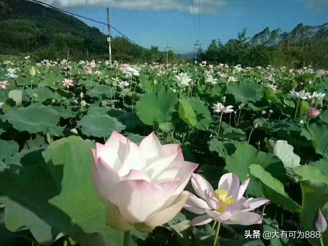 与春花秋月相对应或相关的诗句有哪些？