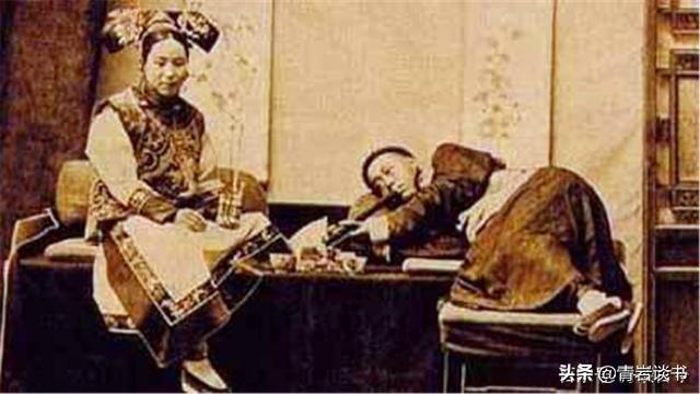 吸猫为什么有快感视频:大家如何看待