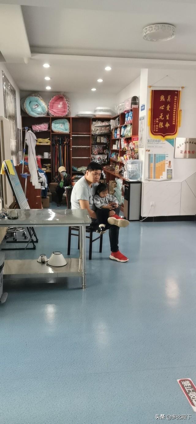 宠物医师临床检验手册:宠物医生遇到过哪些奇葩病例？