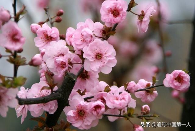 摄影师林德伯格去世:如果你的作品根本不可能结集出版，就没必要再写下去了，你咋看