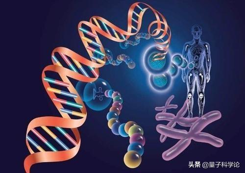 尸香魔芋花:“进化论”明明是主流理论的，为什么我们没有感到生物正在进化？