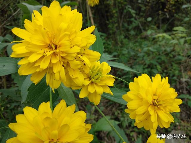 谷城承恩寺有灵异事件:襄阳周边哪个地方的秋色最浓且有看头？