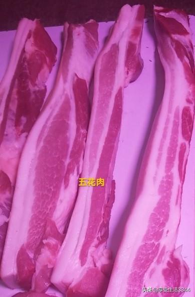 红烧肉最好是用哪个部位的肉？