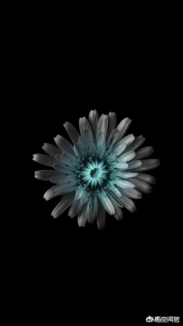 大家有哪些好的水滴屏壁纸推荐吗