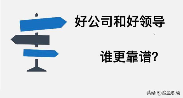 好公司和好领导,你会选哪个？