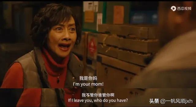 囧妈高以翔角色:你觉得《囧妈》里高以翔先生扮演的大律师喜欢张璐吗为什么