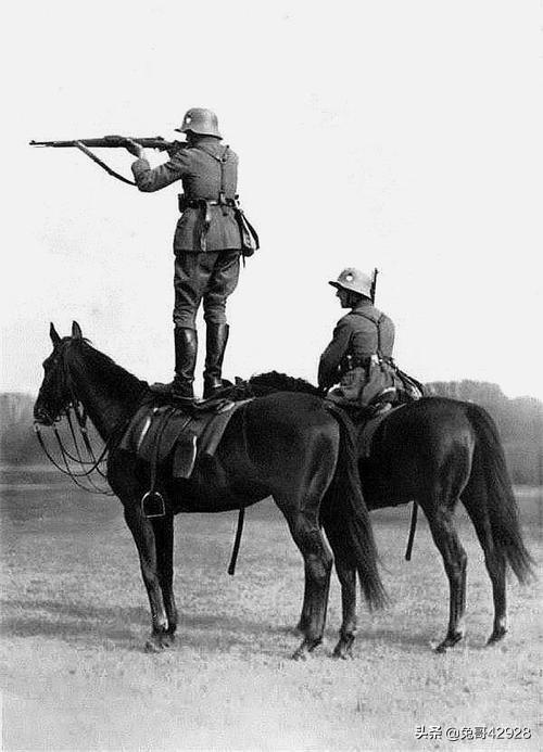 军队现代化后,原来骑兵的战马都怎么处理?-生活百科