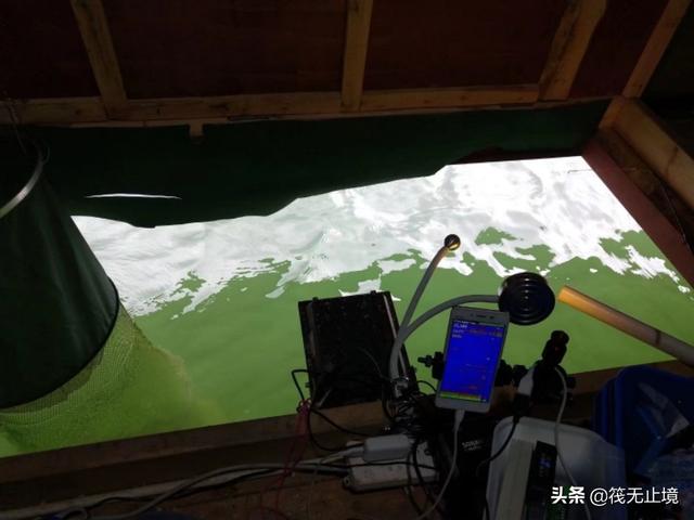 我手秃鹫的活饵:冬天海竿用哪种商品做诱饵？