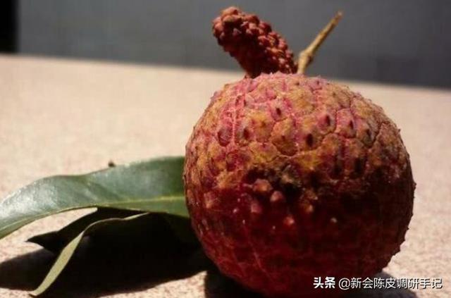 西园寺公一:除了福原爱，石川佳纯，伊藤美诚会成为下一个中国人喜欢的人吗？