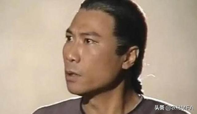 陈近南:《鹿鼎记》小说，陈近南的武功可以排进前五名吗？