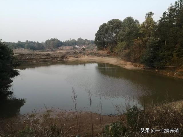 中兽药宠物药品:养殖户们来说说哪些品牌的禽药值得推荐？