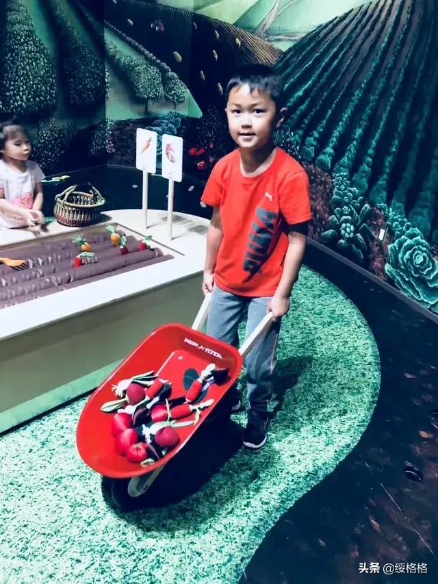 胡适的儿子:胡适去世后，他的后人去哪了？