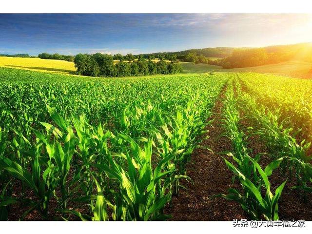 头条问答 世界上的农业大国和农业强国分别是谁 3个回答