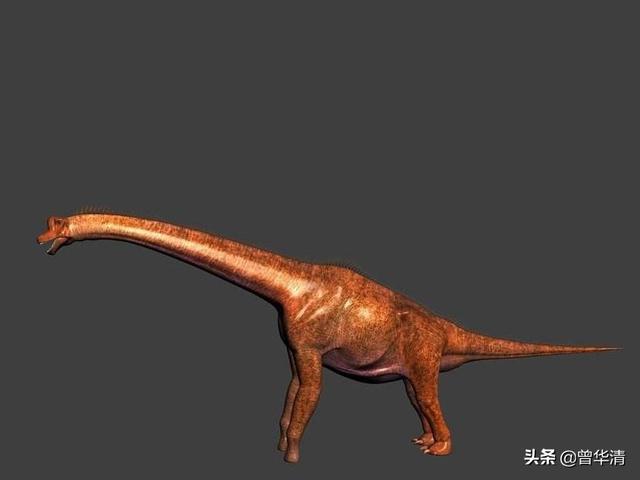 世界上什么恐龙最小，现在世界上最强壮的人能不能打赢最弱小的恐龙小盗龙