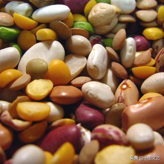 哪些植物不含蛋白？慢性肾炎三期能吃什么食物？