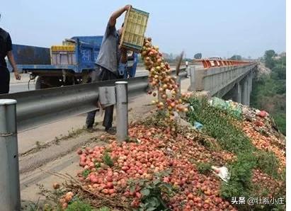 农特微商万人创业孵化平台，农民想卖东西怎么才能找到买家