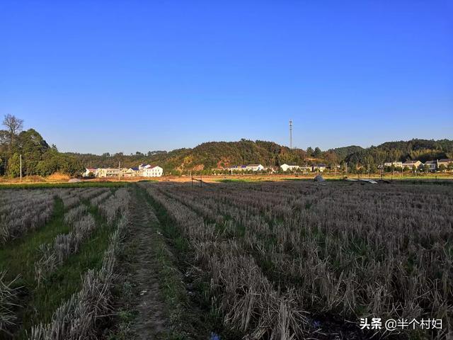 什么行业可以时间自由财富自由？