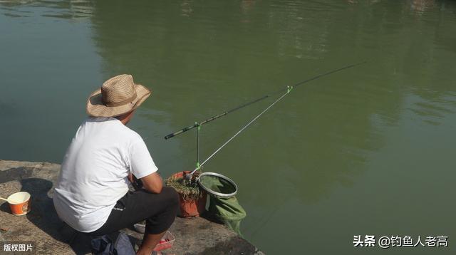金色鲤鱼哪里能钓到:山东省这个季节水库还能钓到鲤鱼或者草鱼吗？该怎么操作？