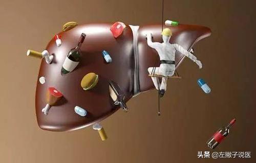 生活中有哪些养肝护肝的方法？