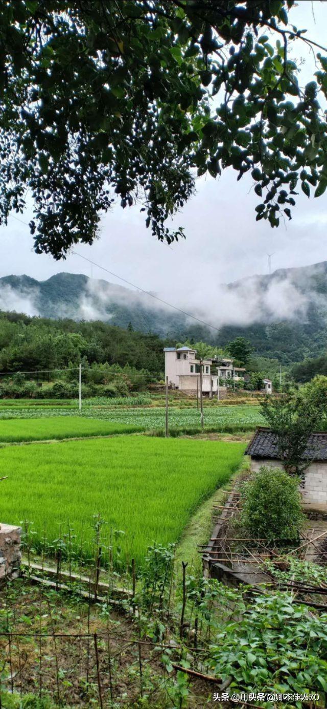 各位老师,能为下图写一首诗吗？