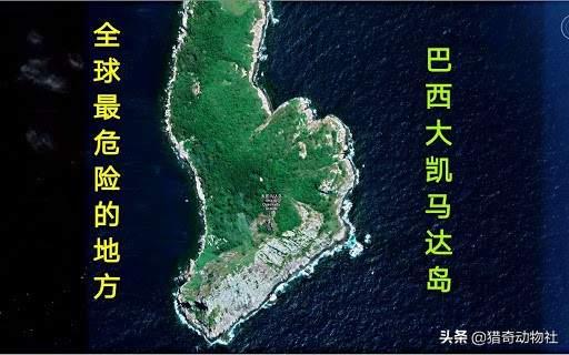 世界八大恐怖禁区，巴西蛇岛有多恐怖，与大连蛇岛相比较，哪一个更加恐怖