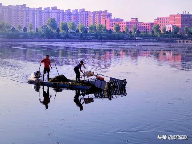 各位中老年摄影爱好者，你们爱拍风景花鸟么大家有好看的照片么