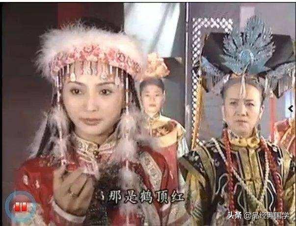 植物鹤顶红图片:朱顶红和对红有什么区别？如何区分？