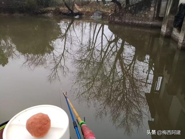 我手秃鹫的活饵:钓鱼时，在使用商品饵新手会出现什么错误的事情，该怎么样解决？