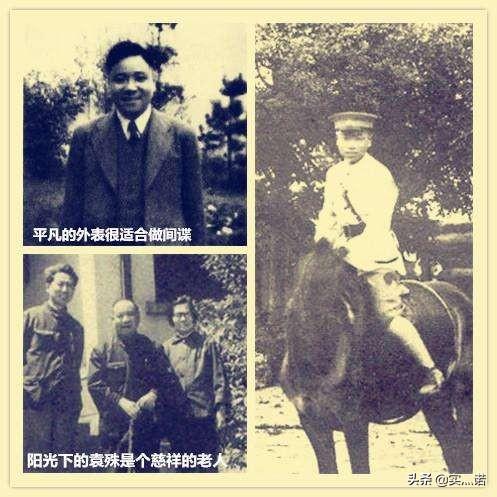 明楼扮演者:电视剧《伪装者》中靳东扮演的明楼历史原型真是“五重间谍”么？