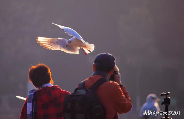 春节三日去云南,过年去云南旅游，合适吗？