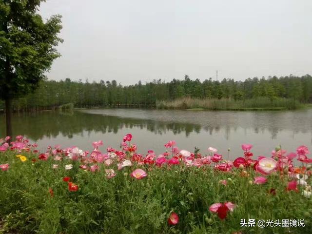 上海衡山路裸拍:上海有什么鲜为人知但很有意思的景点？