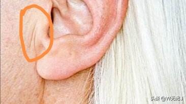 四十六岁的女人算进入老年了吗？插图26