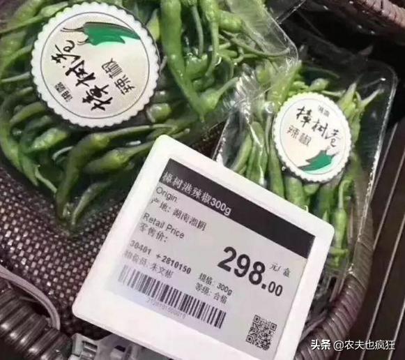 鸟眼辣椒哪里有卖:鸟眼辣椒种子哪有卖的 现在高温多湿辣椒烂果怎么办办？