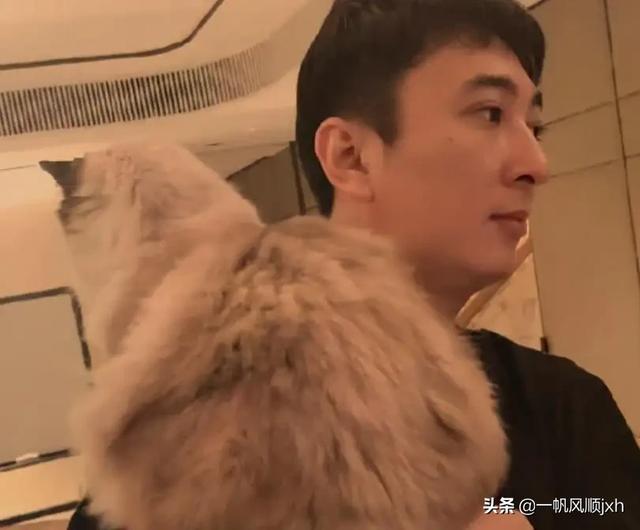 现在的国民老公是谁:王思聪”国民老公”的当务之急是什么？你是怎样看待的？