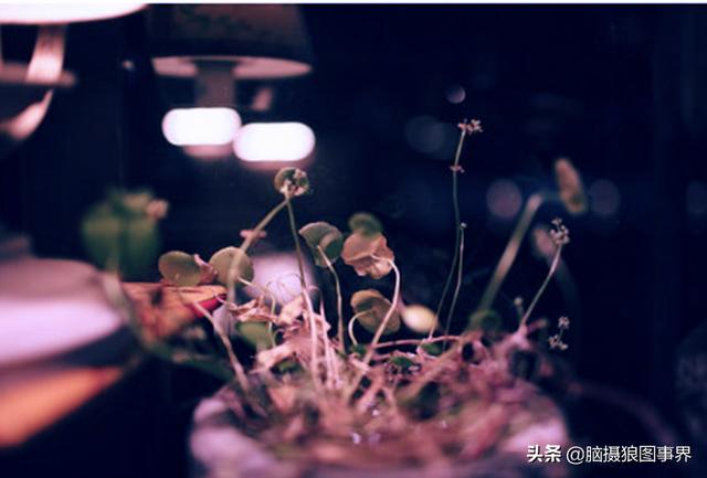 侃侃个人资料:为什么自己总是显得很土气
